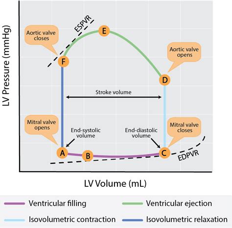 ventricular pressure volume loop diagram